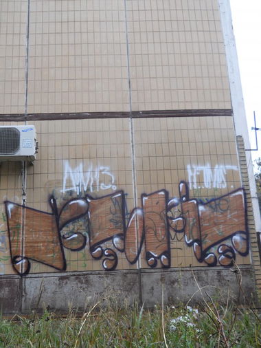 Graffiti Bombing - Photo by Mist52 (2013)
