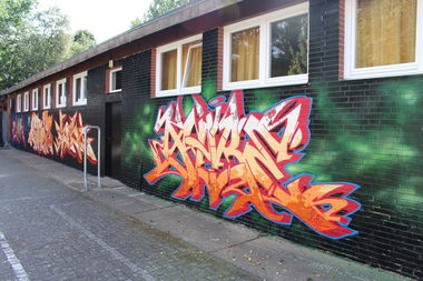 Graffiti Wall - Photo by Mister217 - yare217, omg, semiwild (2016)