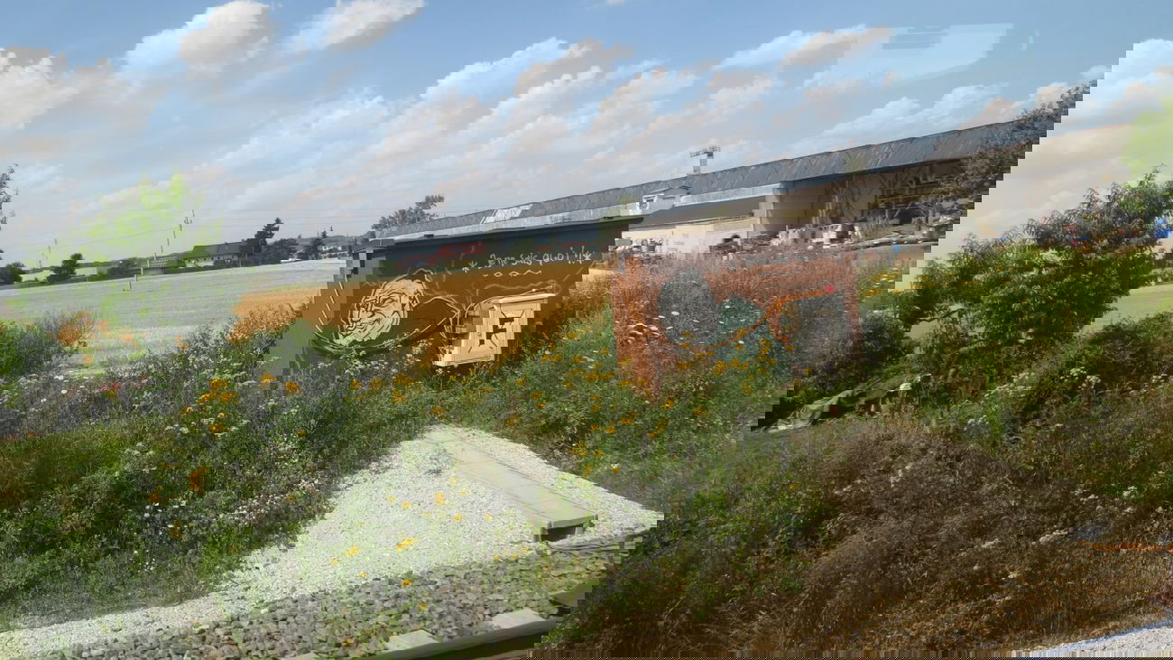 Graffiti Wall in Linz - Photo by MisterSchnebshod