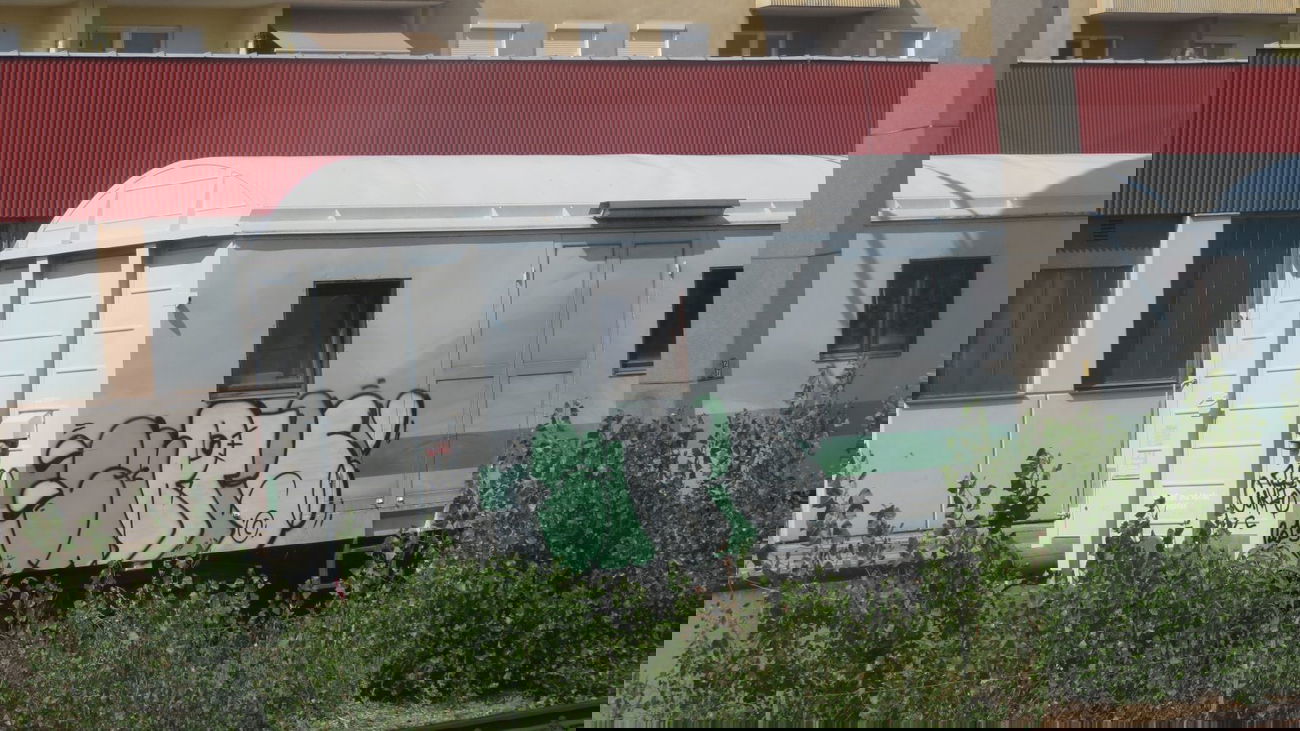 Graffiti Train in Vienna - Photo by MisterSchnebshod - curtis, wien, schlafwagon (2013)