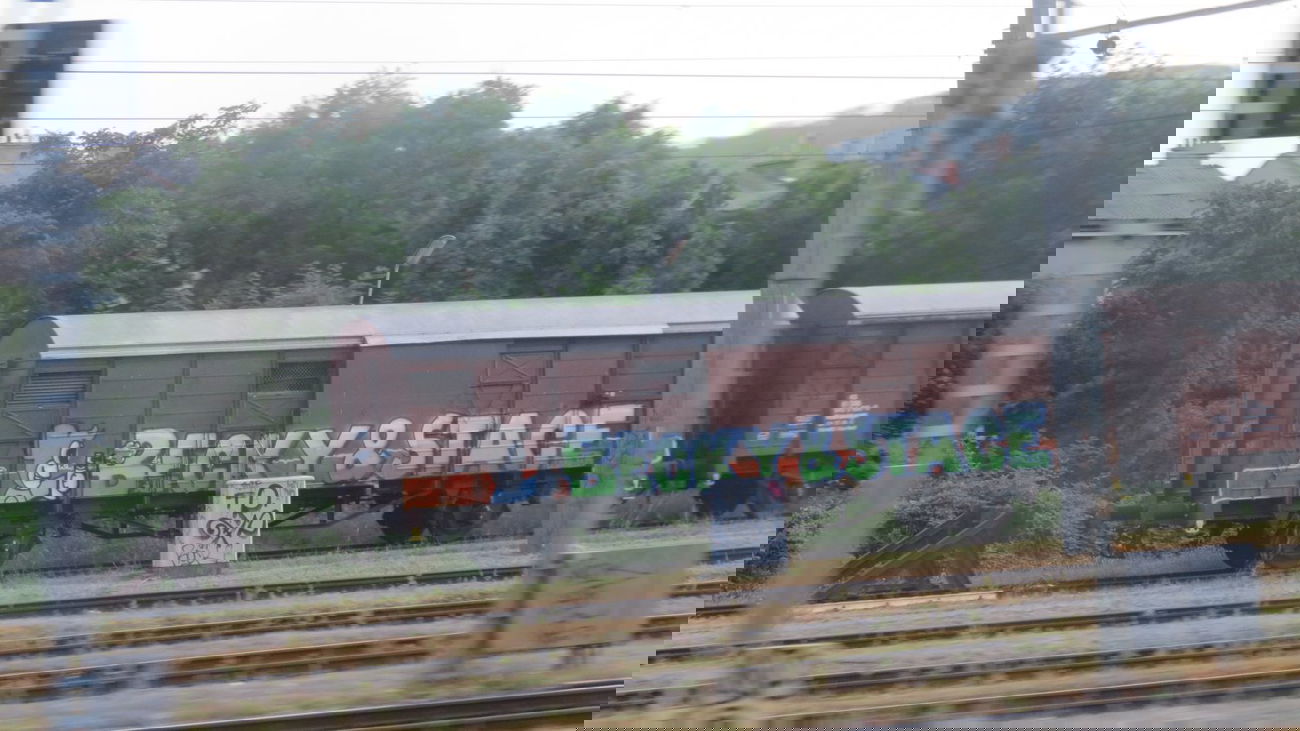 Graffiti Train in Vienna - Photo by MisterSchnebshod - becky, stace