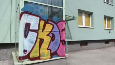 Graffiti Bombing in Linz - Photo by MisterSchnebshod - ckds (2013)