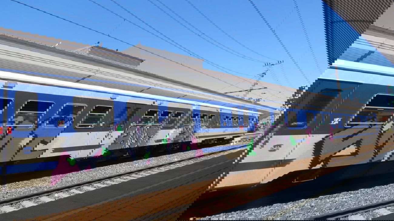 Graffiti Train in Vienna - Photo by MisterSchnebshod - smt