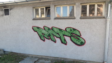 Graffiti Wall in Innsbruck - Photo by MisterSchnebshod - rats