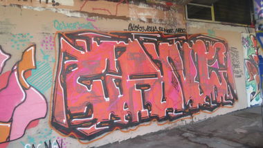 Graffiti Wall in Vienna - Photo by MisterSchnebshod - cane (2013)