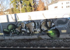 Photo #71738 by TheWallHunter