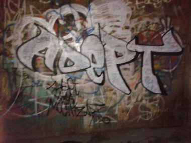 Graffiti Bombing - Photo by Mochizart