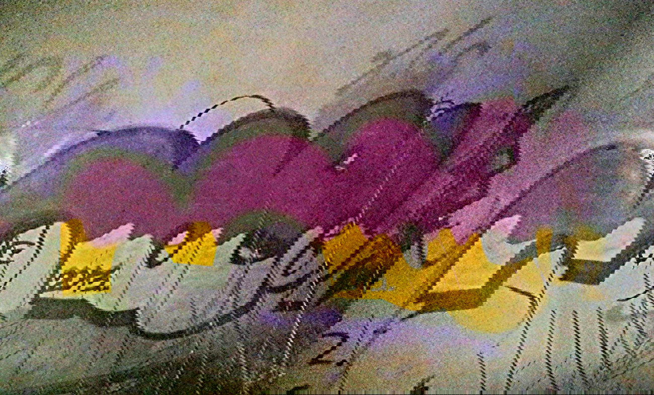 Graffiti Wall - Photo by MoeQ4 - Belgrade, with, Doyen