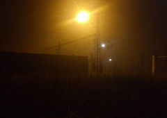 Photo #177717 by TagHagel