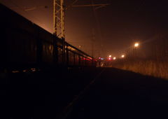 Photo #177716 by TagHagel