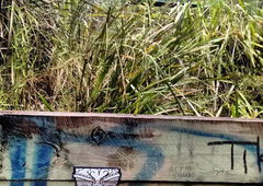 Photo #180868 by TagHagel