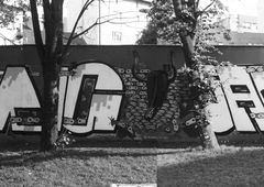 Photo #12929 by Aiser