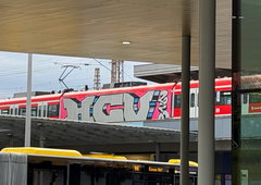 Graffiti Train in Cologne - Photo by MondFiedel (2026)