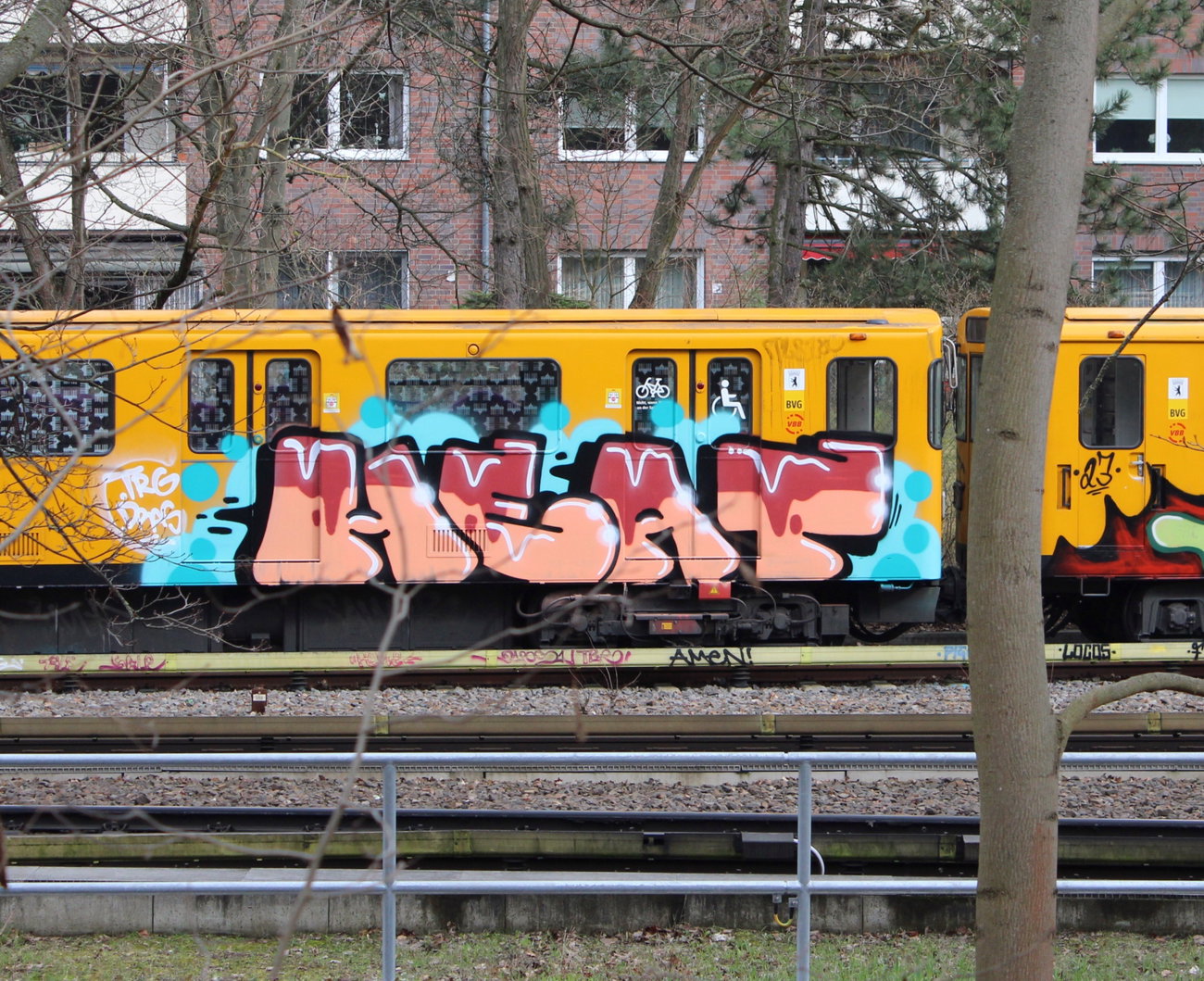 Graffiti Train in Berlin - Photo by MondFiedel (2023)