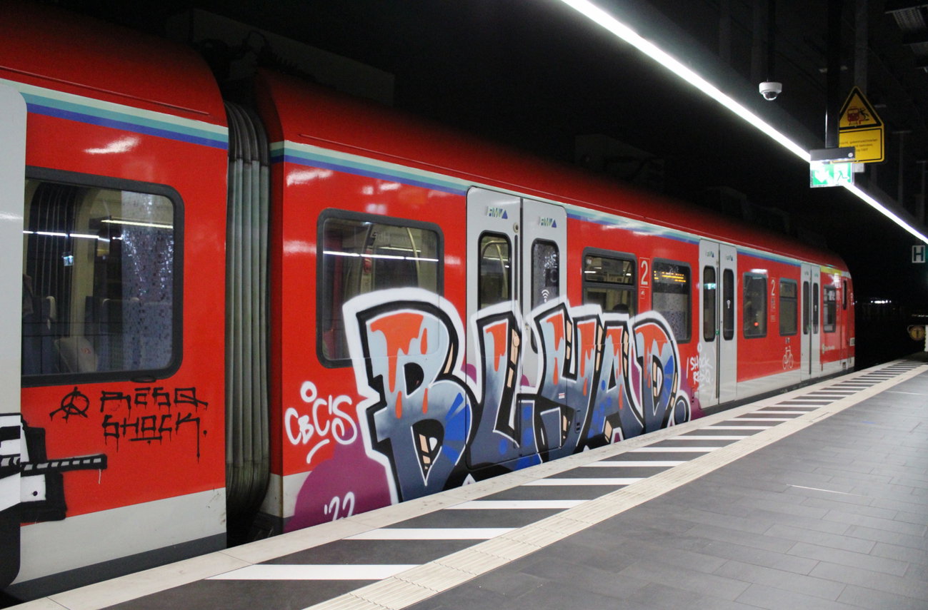 Graffiti Train in Frankfurt - Photo by MondFiedel (2023)