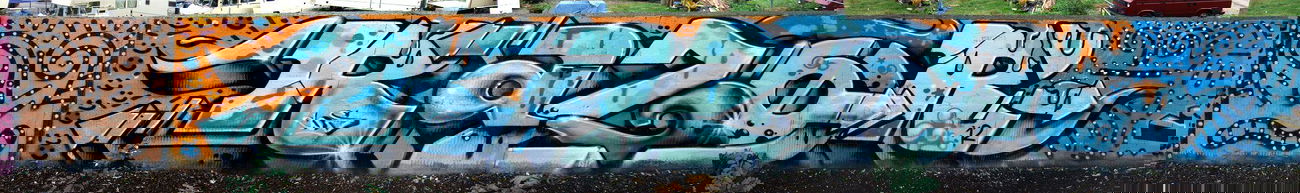 Graffiti Train - Photo by Mongole23 - oz, razor, cos