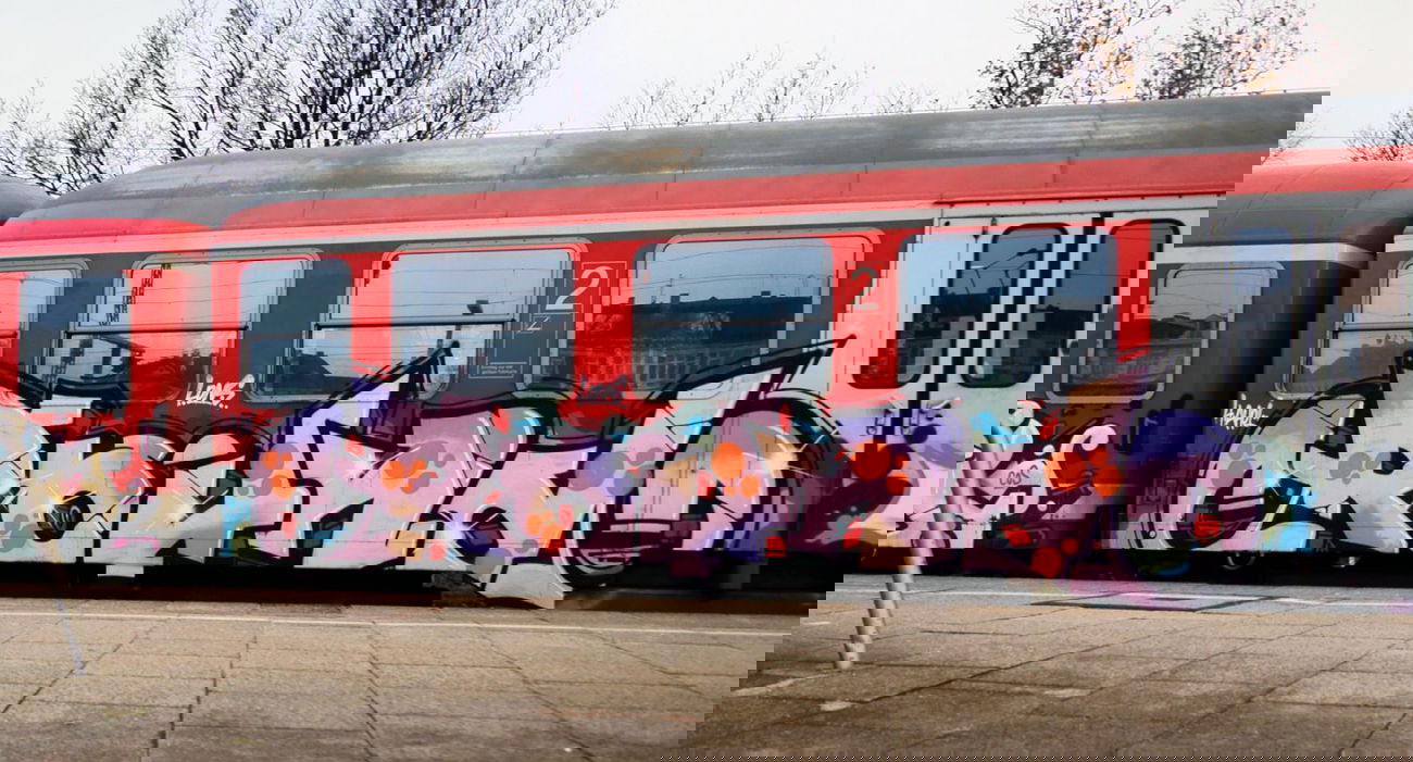 Graffiti Train - Photo by Mongole23 - round