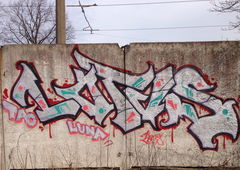 Photo #86048 by BaerTigerMann