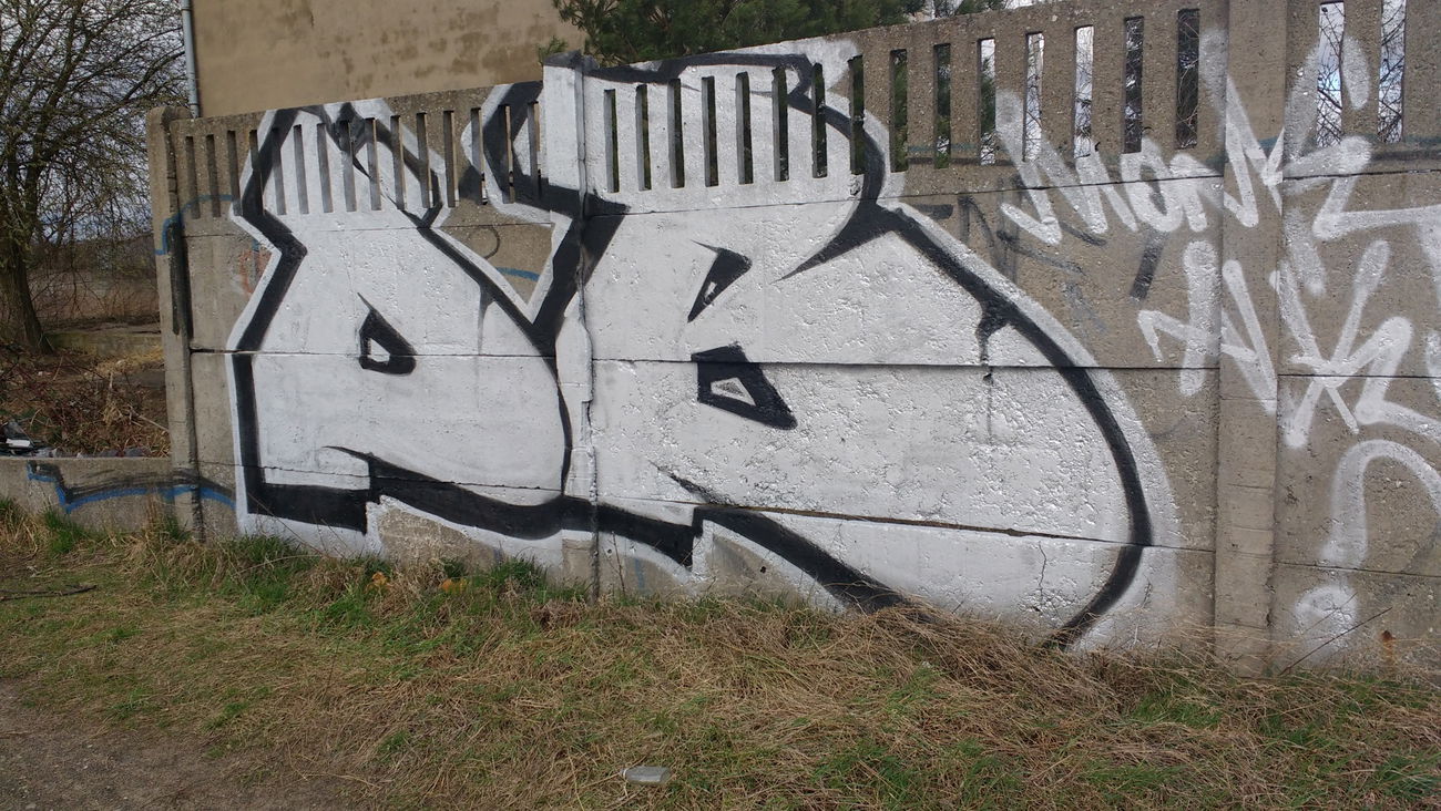 Graffiti Bombing in Polska - Photo by Monker