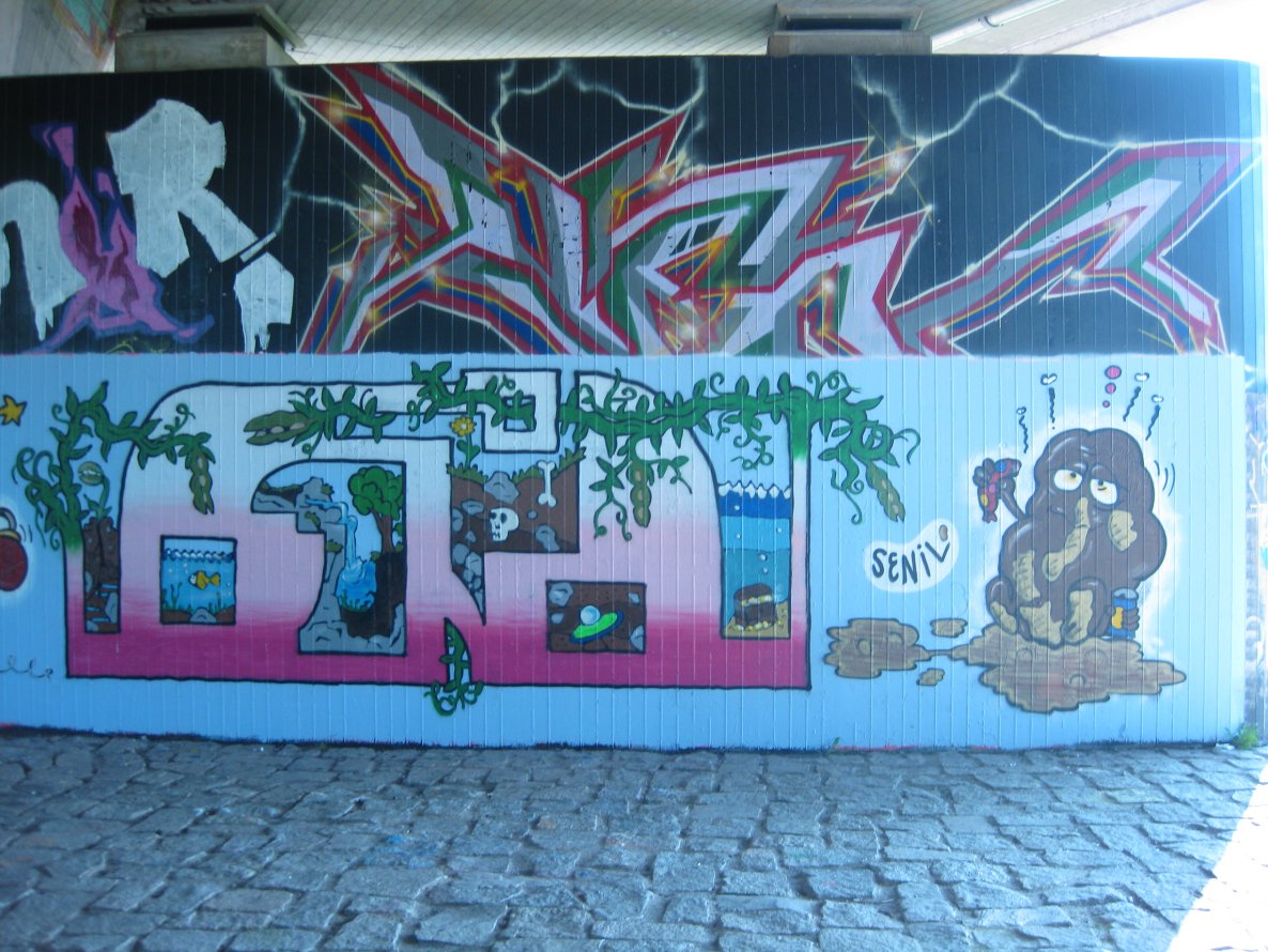 Graffiti Wall in Dresden - Photo by MonsterGurkE - senil (2020)