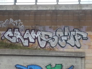 Graffiti Bombing in Dresden - Photo by MonsterGurkE - cram, senf (2014)