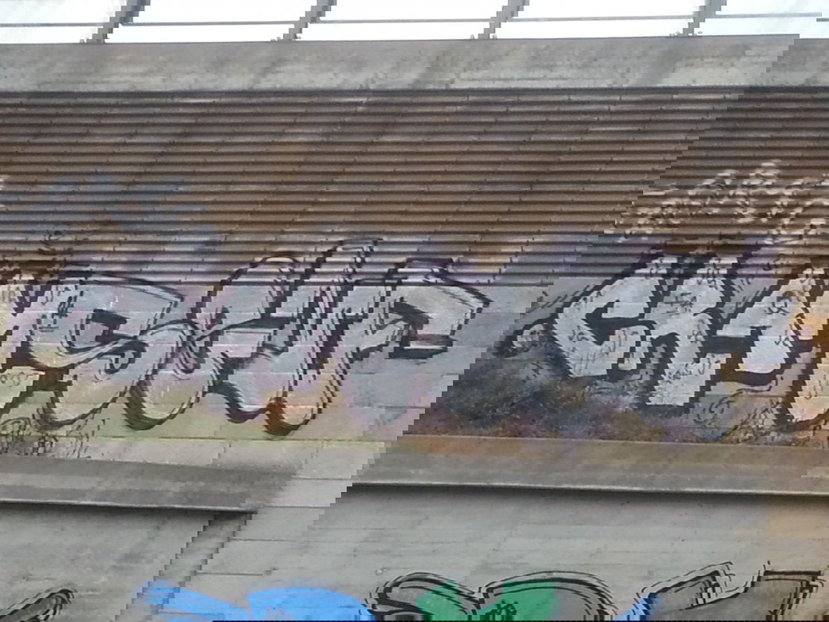 Graffiti Bombing in Dresden - Photo by MonsterGurkE - cram, senf (2014)