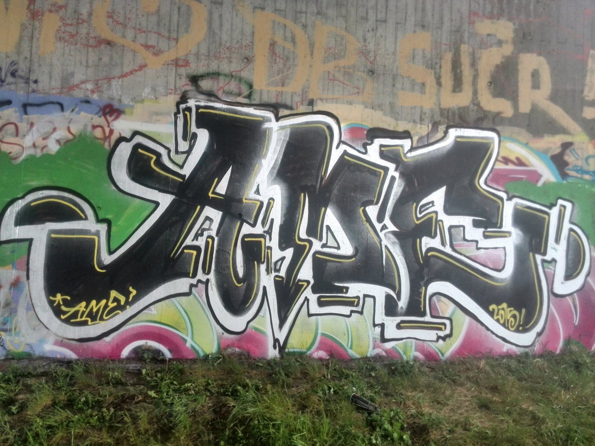 Graffiti Bombing in Dresden - Photo by MonsterGurkE - ame, dresden (2015)