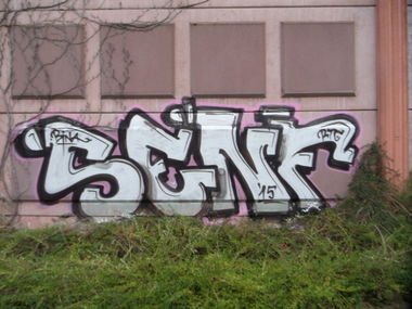 Graffiti Bombing in Dresden - Photo by MonsterGurkE - senf, rtc, bina (2015)