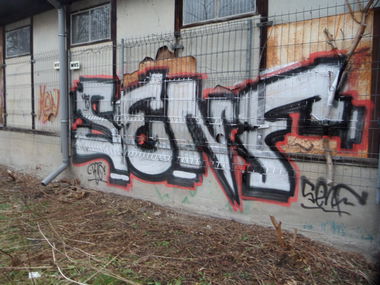 Graffiti Bombing in Dresden - Photo by MonsterGurkE - senf, dresden, rtc (2015)