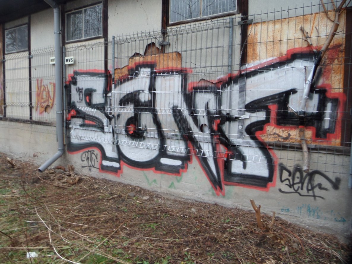 Graffiti Bombing in Dresden - Photo by MonsterGurkE - senf, dresden, rtc (2015)