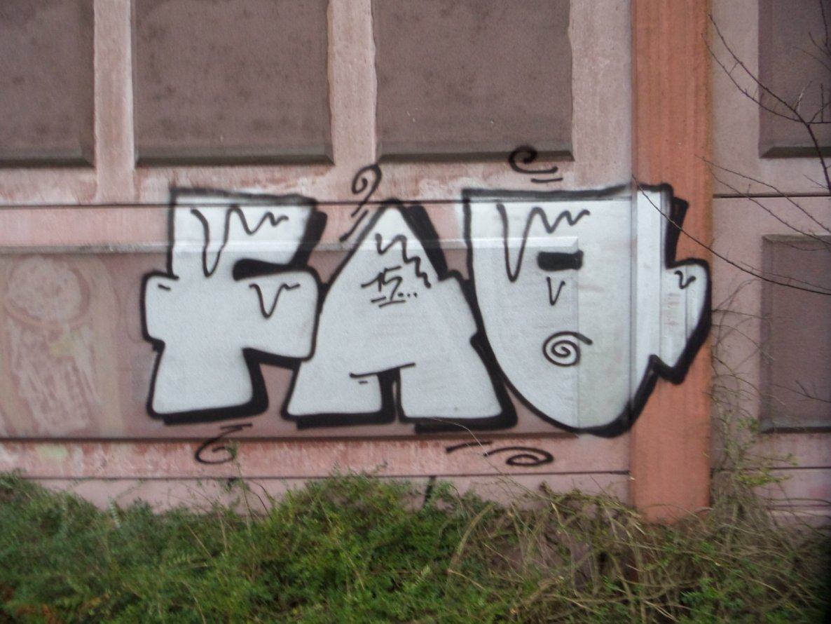 Graffiti Bombing in Dresden - Photo by MonsterGurkE - faq, rtc, 2015 (2015)
