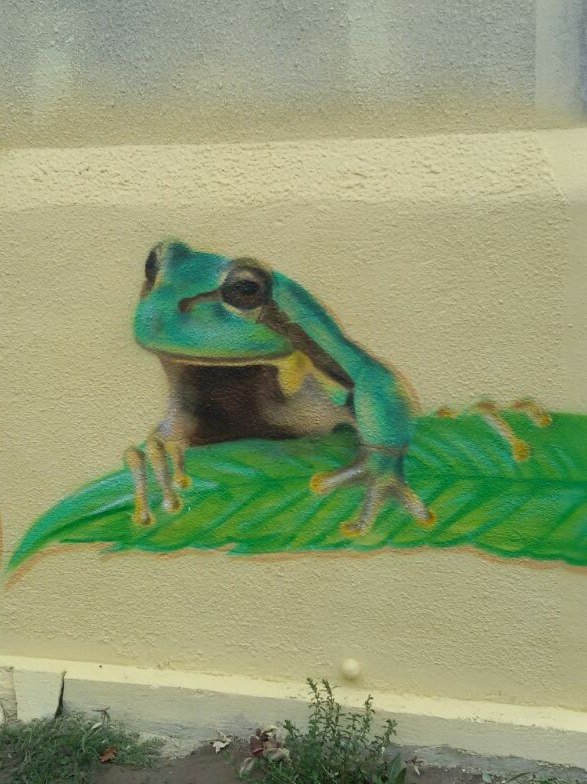 Graffiti Wall in Landkreis Märkisch-Oderland - Photo by Mopz - Mops, Frog, Green (2015)