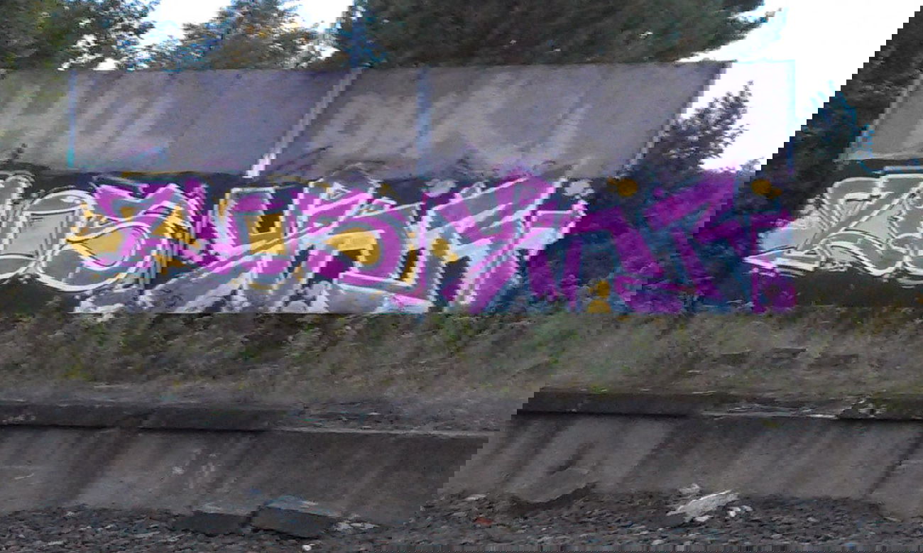 Graffiti Bombing in Potsdam - Photo by Morales