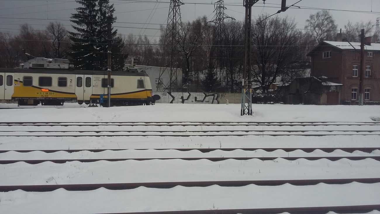 Graffiti Bombing - Photo by Morda - OFC (2016)