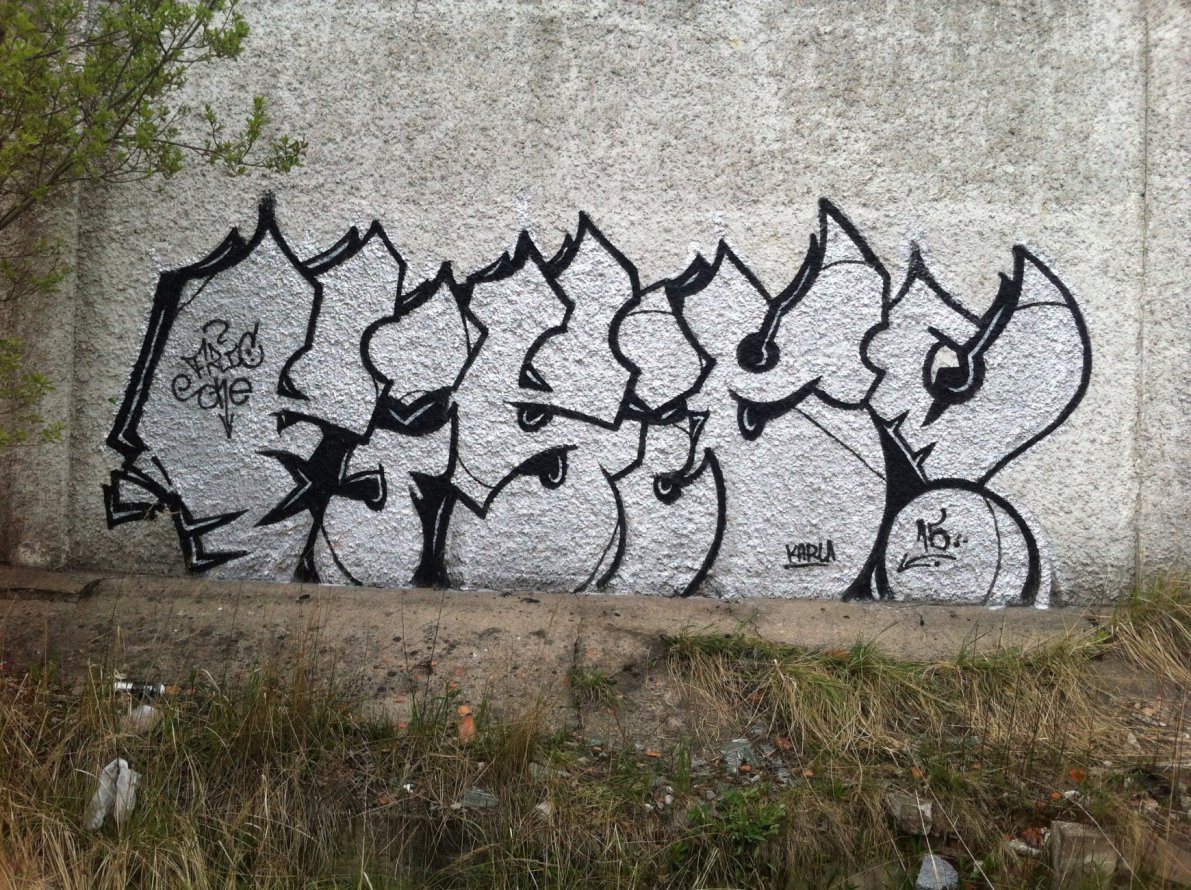 Graffiti Bombing - Photo by Morda - Fisic (2015)