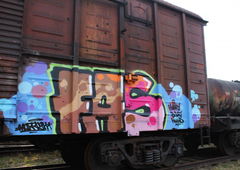 Photo #8813 by Nets1