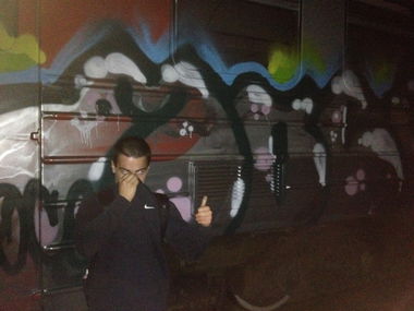 Graffiti Train - Photo by Mosepaint