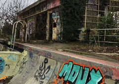 Photo #205833 by TagHagel