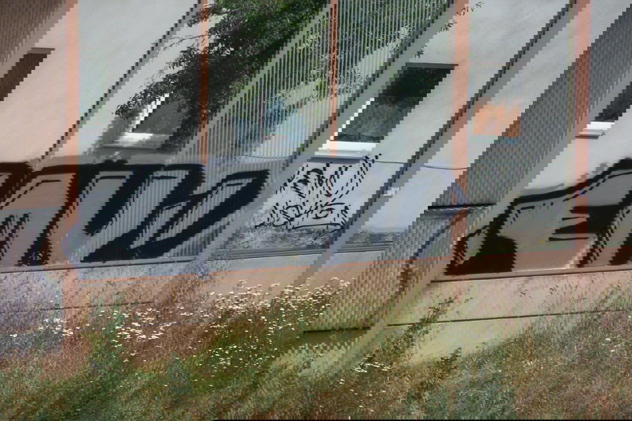 Graffiti Bombing - Photo by MrGraff - emu, dresden