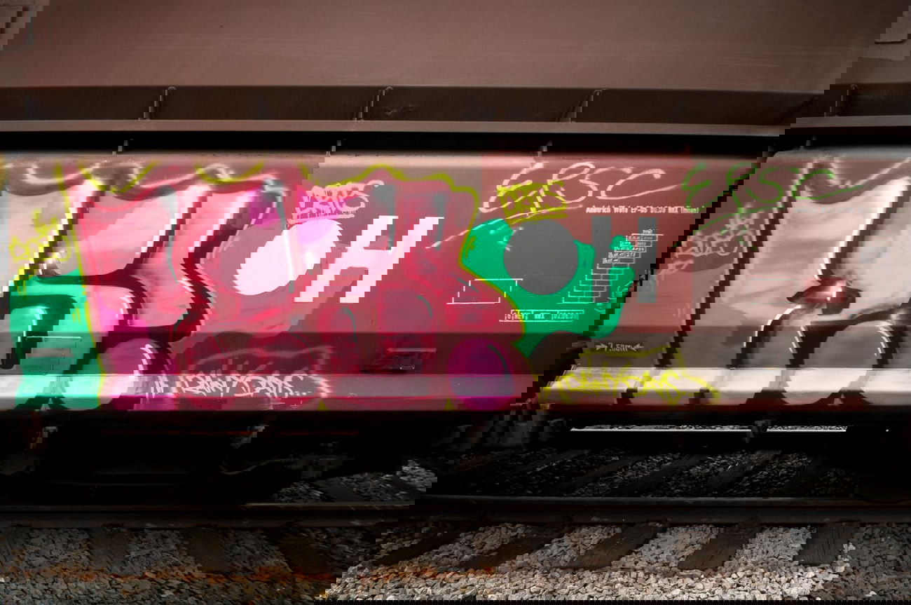 Graffiti Train - Photo by MrROISIUS - fps, ntzwrk, rois