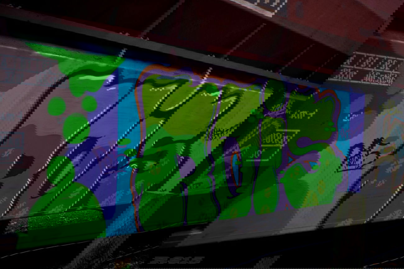 Graffiti Train - Photo by MrROISIUS - rois, freight, begs (2014)