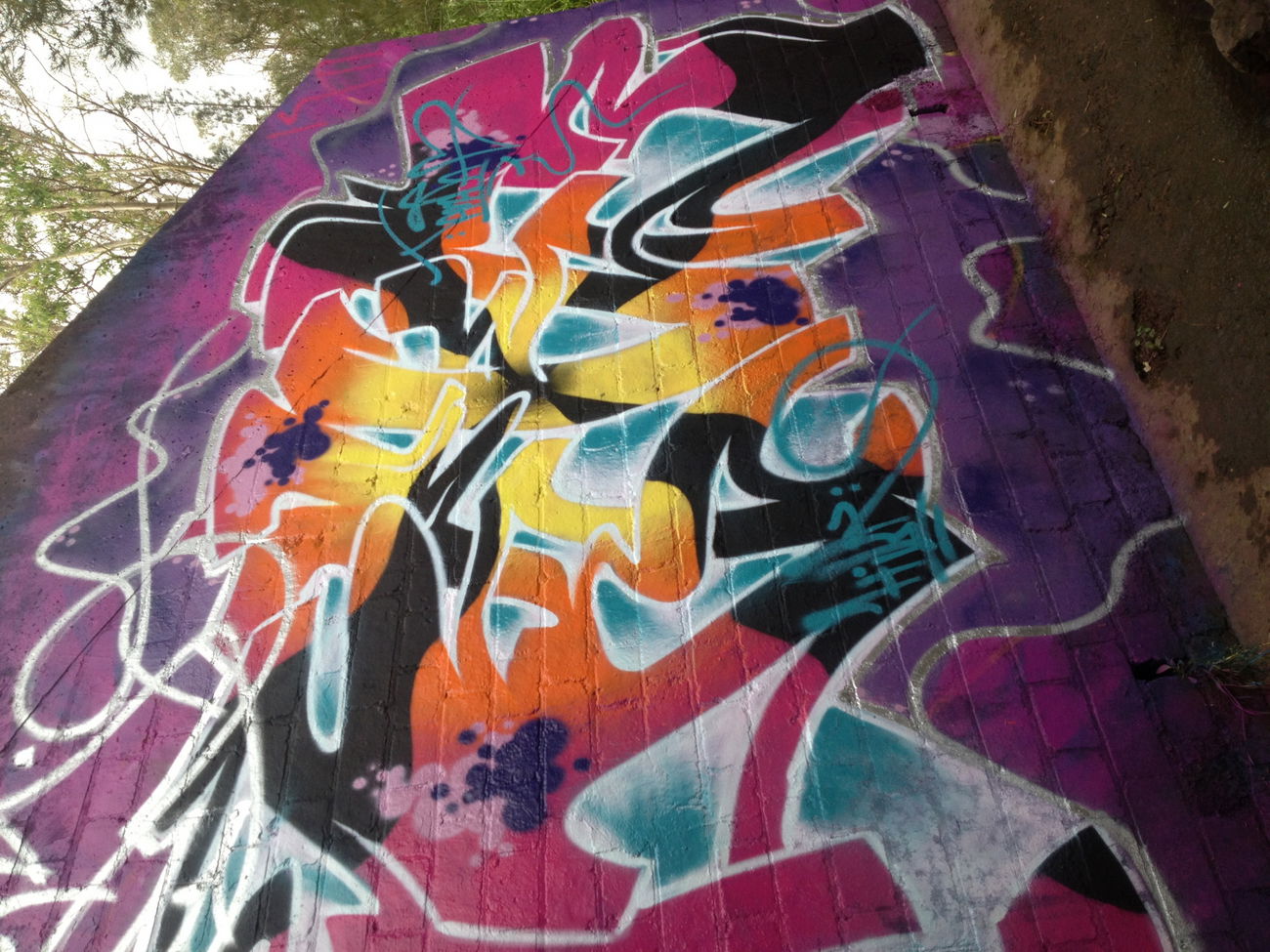 Graffiti Wall - Photo by MrReka - tracks, creek