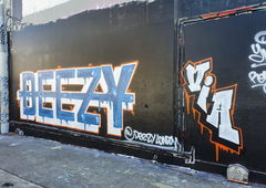 Graffiti Wall in Sydney - Photo by MrReka - deezy, vandalsinaction (2020)