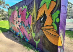 Graffiti Wall in Australia - Photo by MrReka - ninja (2020)