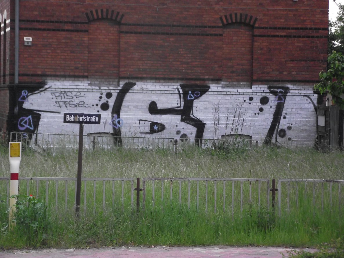 Graffiti Bombing - Photo by MrRise - rise, fise, 161 (2013)