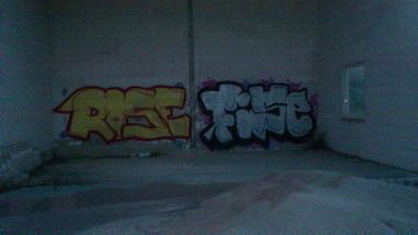 Graffiti Bombing - Photo by MrRise - rise, fise, 161 (2013)