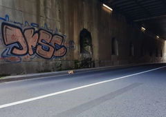 Graffiti Wall in Bayreuth - Photo by MrTaube - JRS