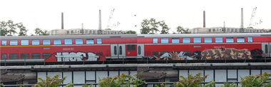 Graffiti Train - Photo by MrWoHooo - HOE, OMS