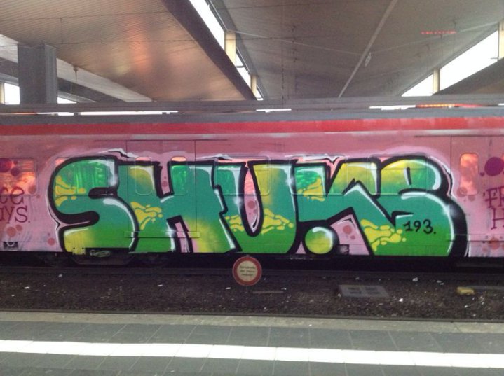 Graffiti Train - Photo by MrWoHooo - SHUKE, 193, FH (2014)