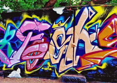 Photo #21489 by Belt